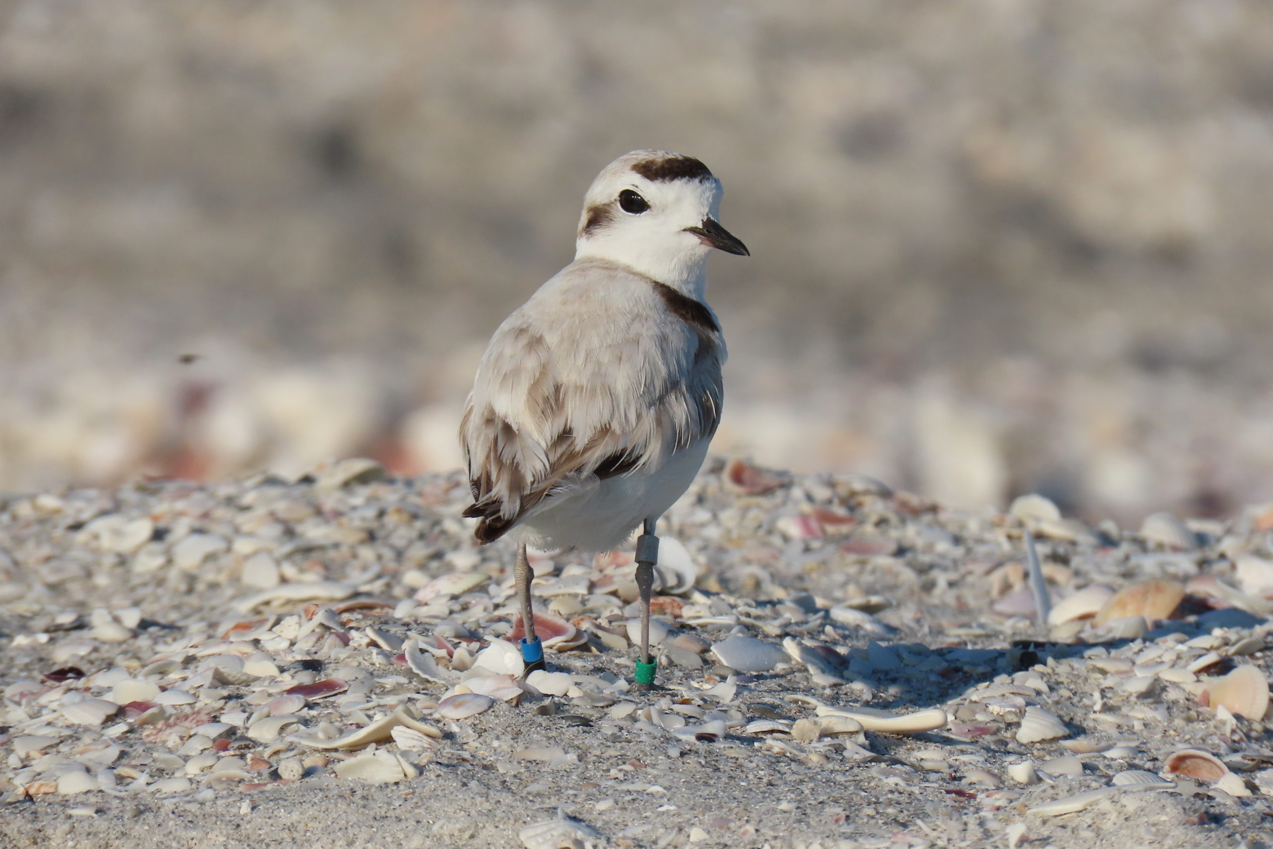 rxvk7oeitfeityxebpfb