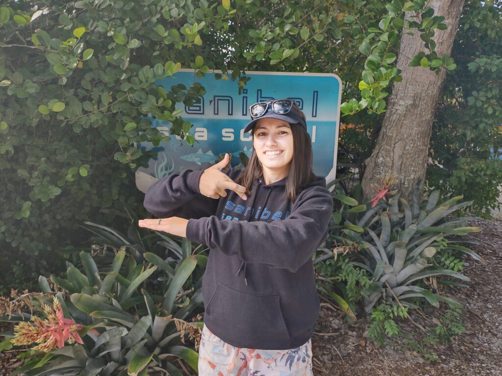 s63im8ohovkto7x3vtk7