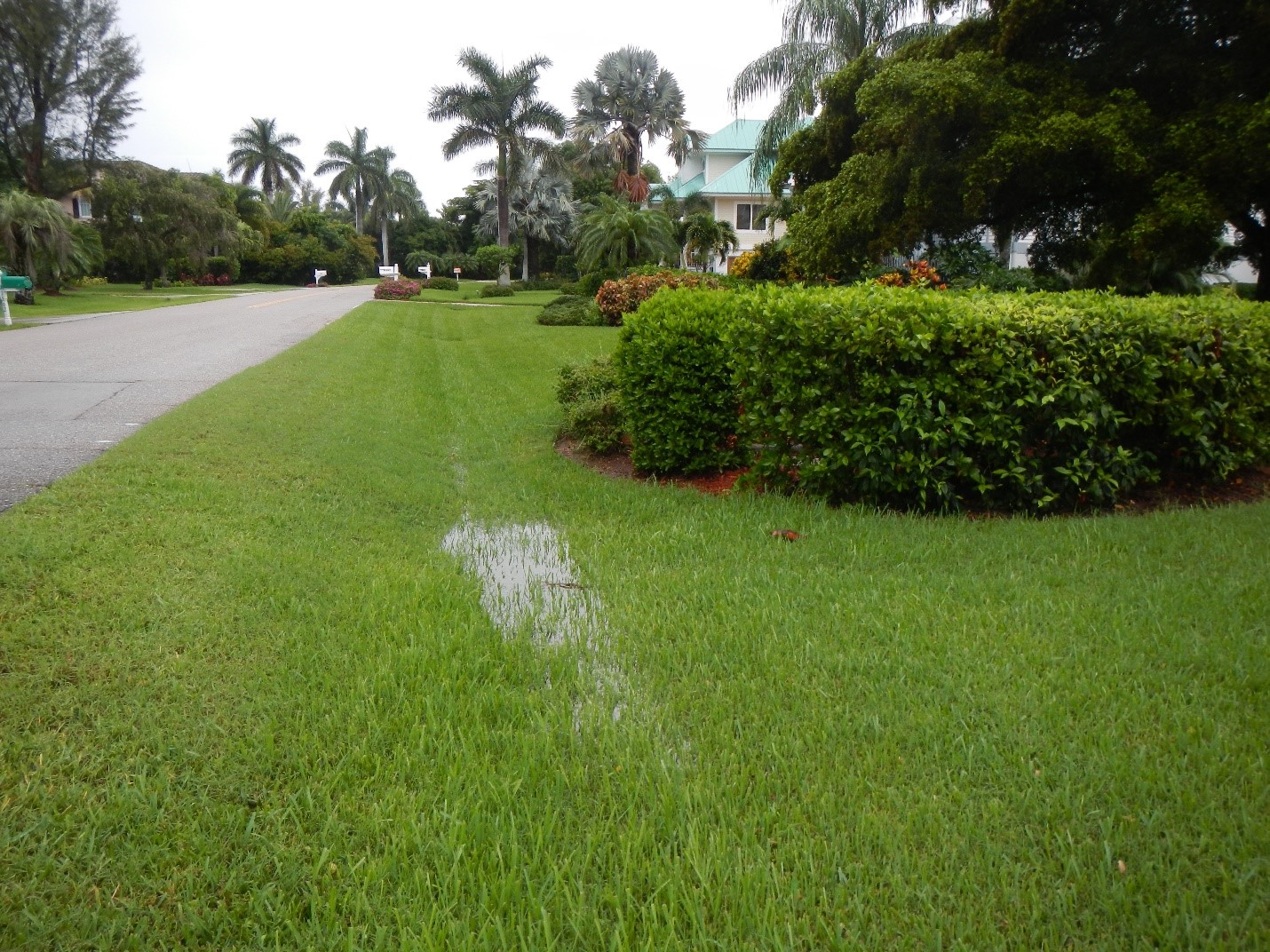 shkuooc3thbecfzaq6y3