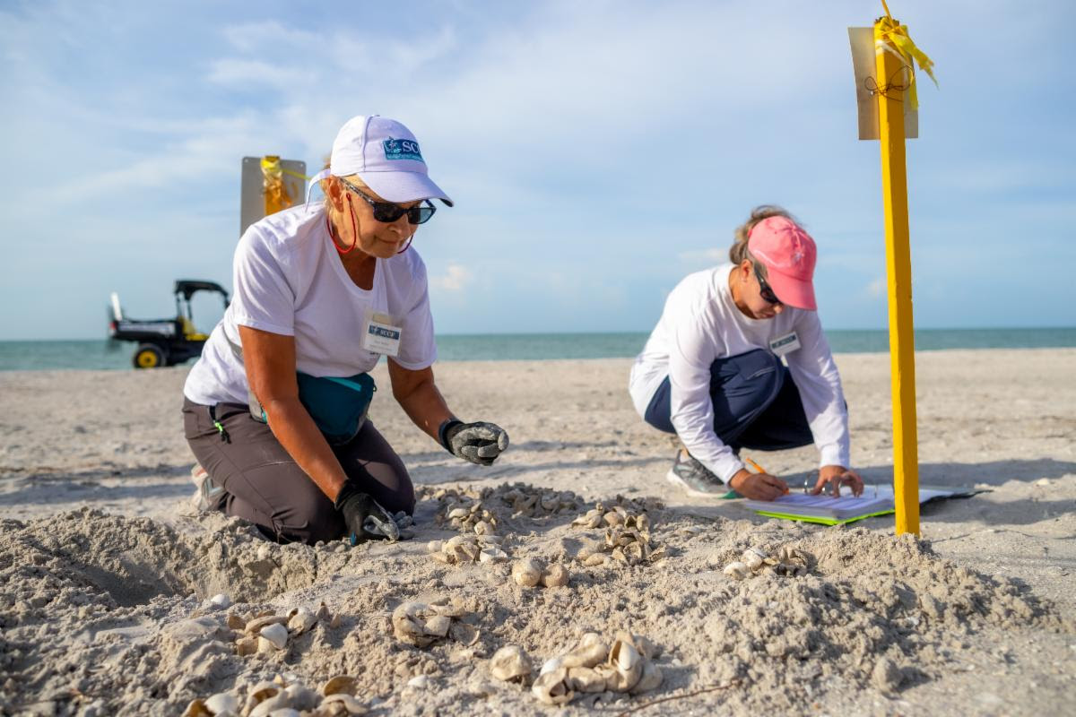 smbu50quk66h9nqbs5t3