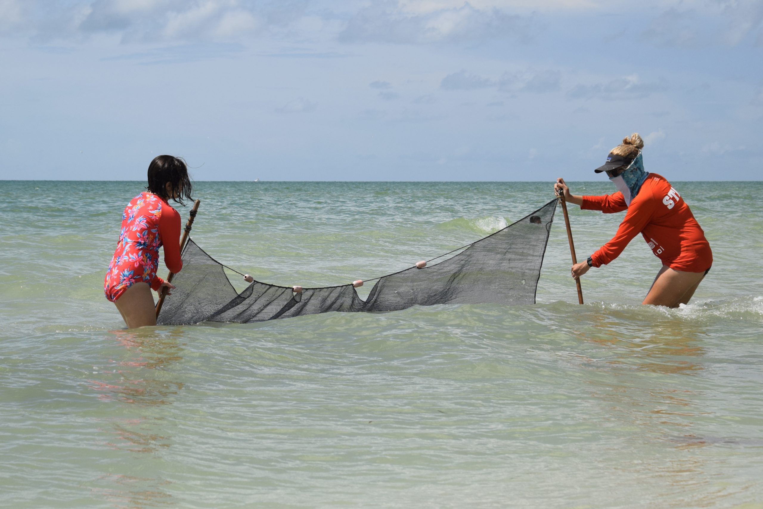 szpizmxf47o2ilsyermr