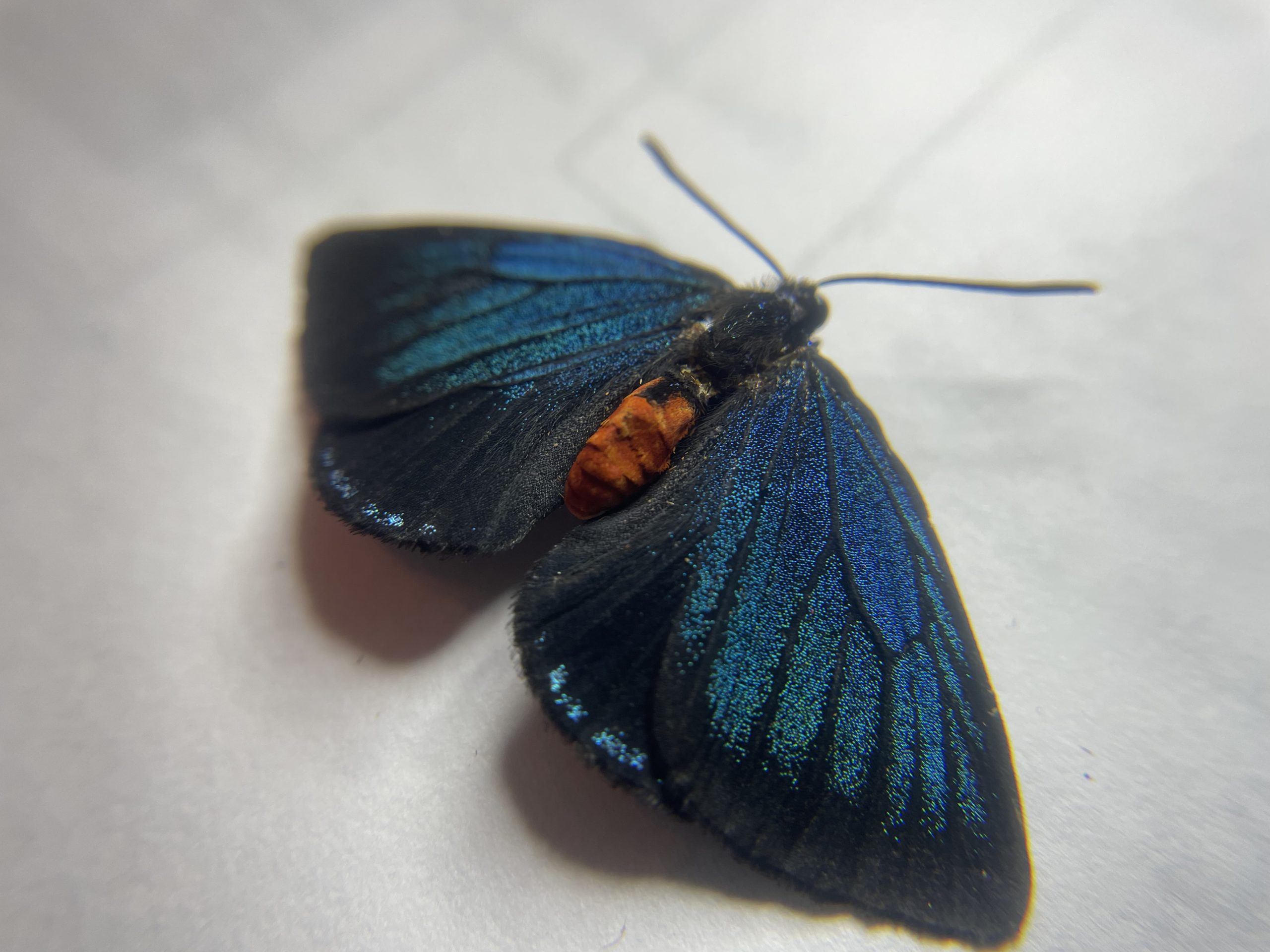 t5worpayc2ltsj9kloqb