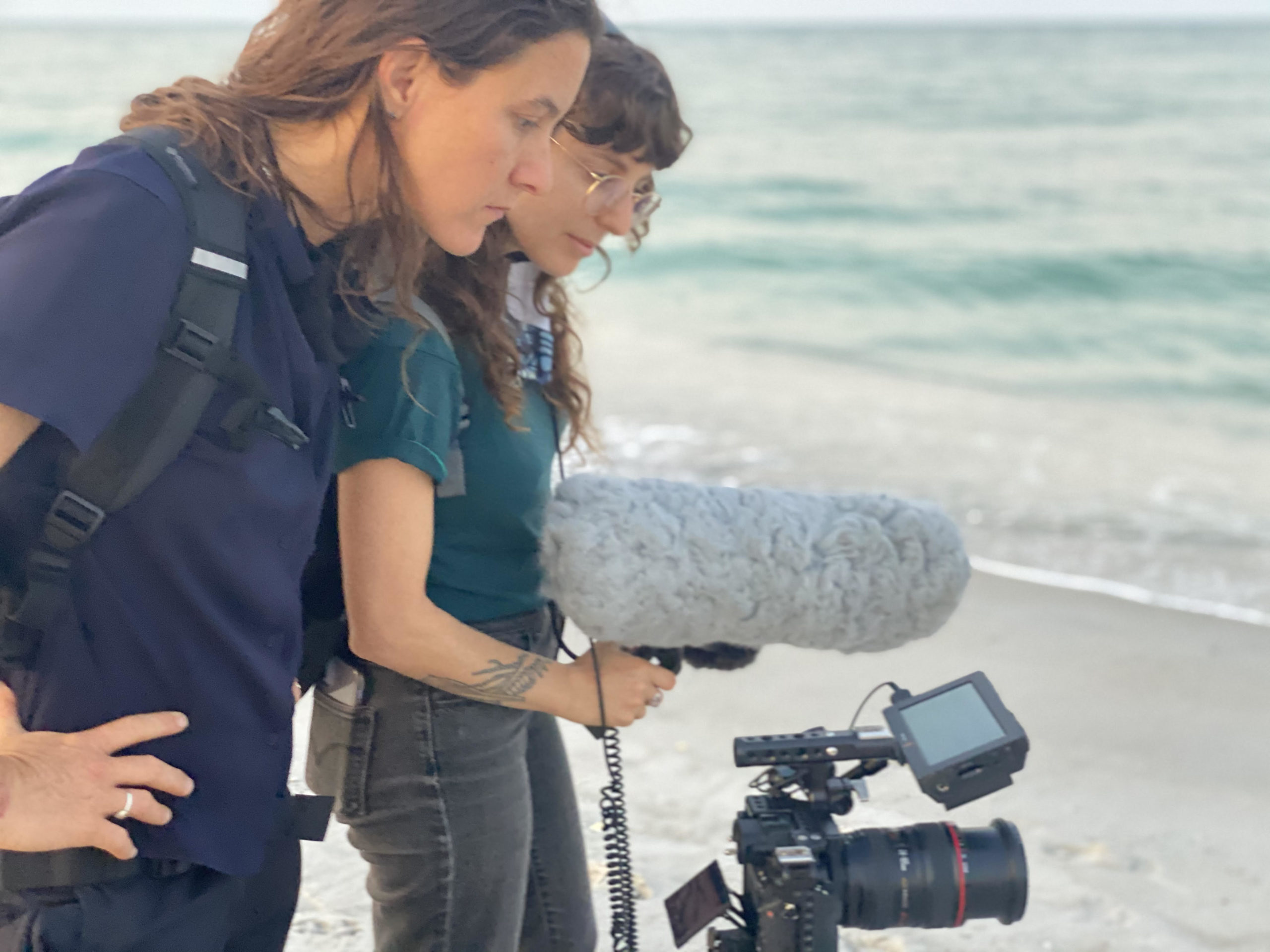 tfqlwn9yreo2eoqesruz