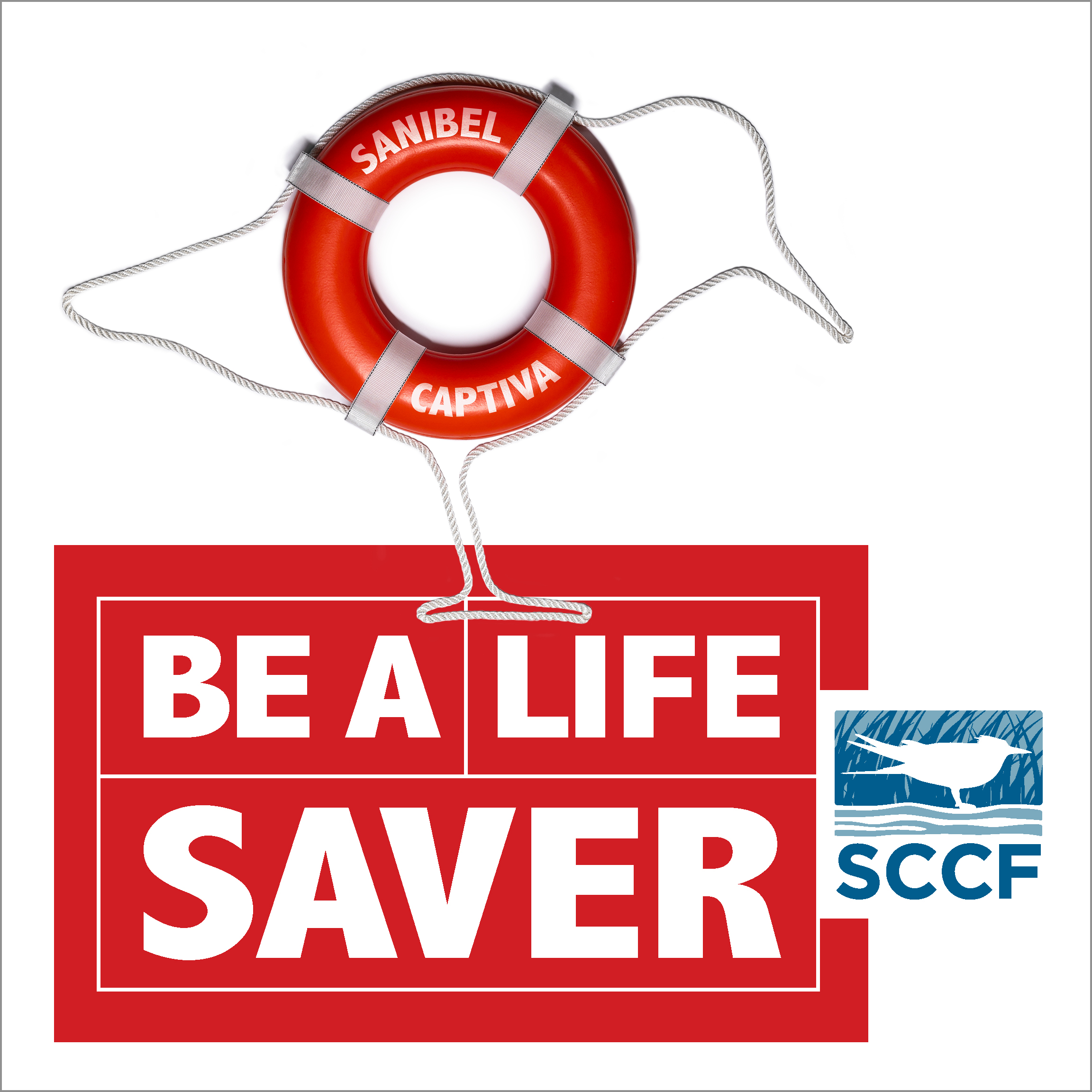 tqdinn5ywyqozeljggz8