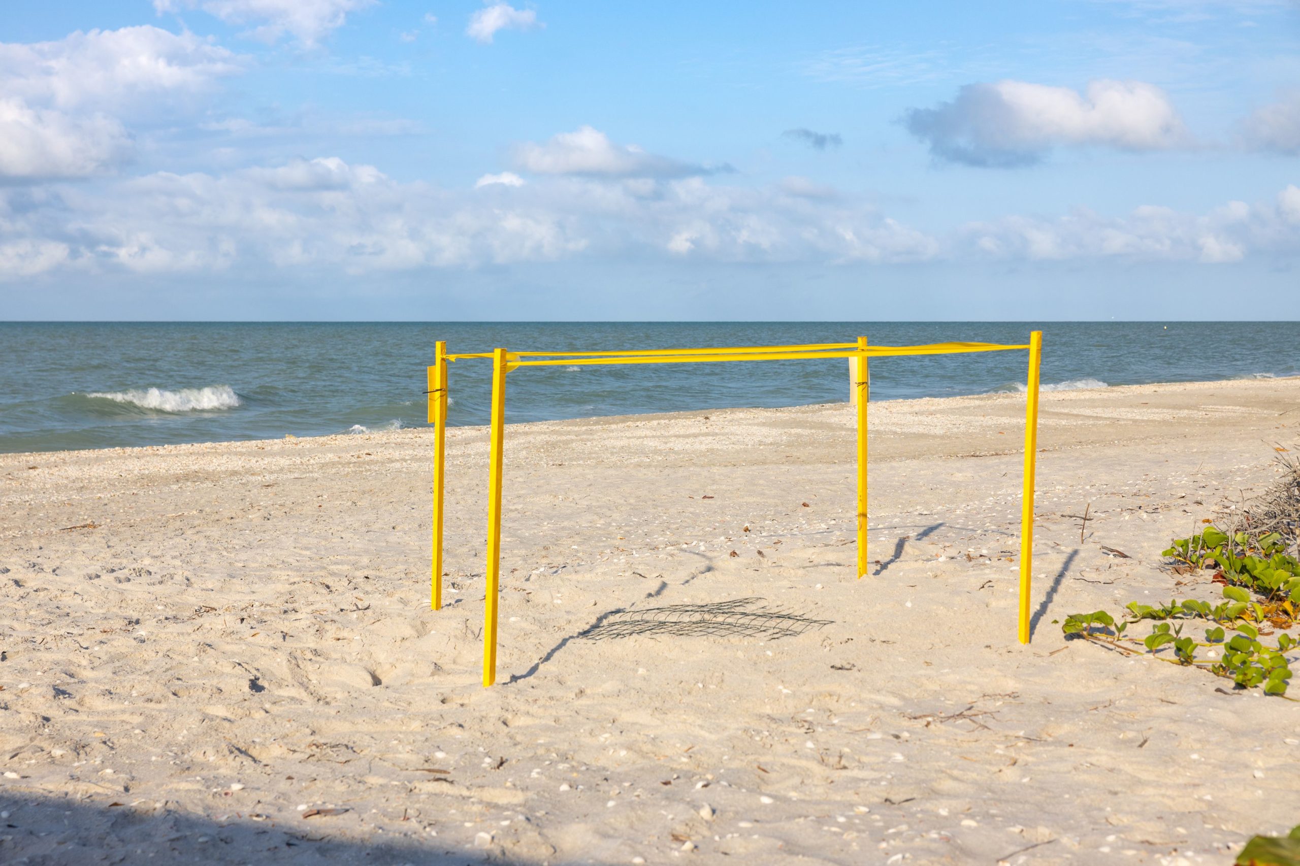 tvbu40urqu4bl1e4m3rv