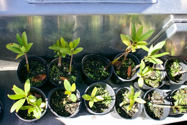 uoejelths2rwffxujxsn