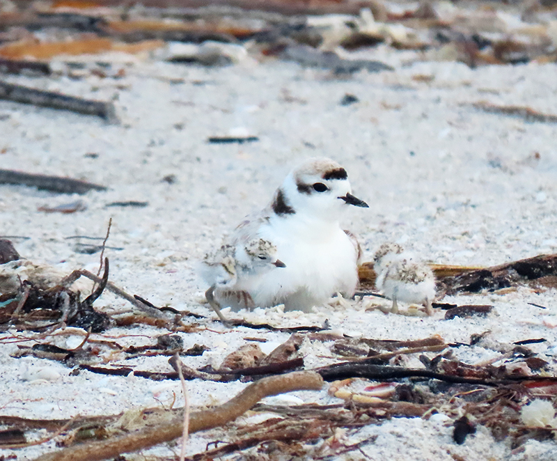 usaygcvsnhr90rp5uttu