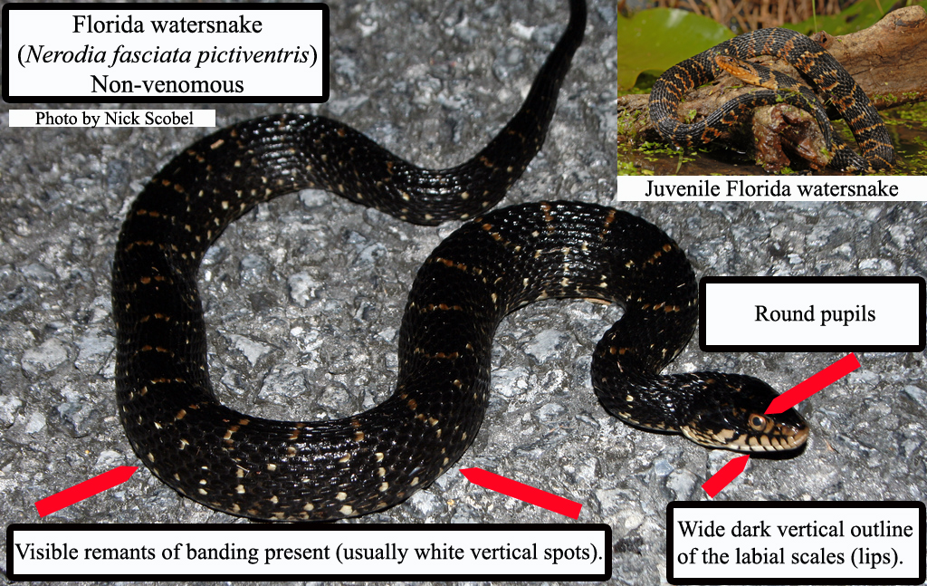 utddtcvcidyrxgt32g0f