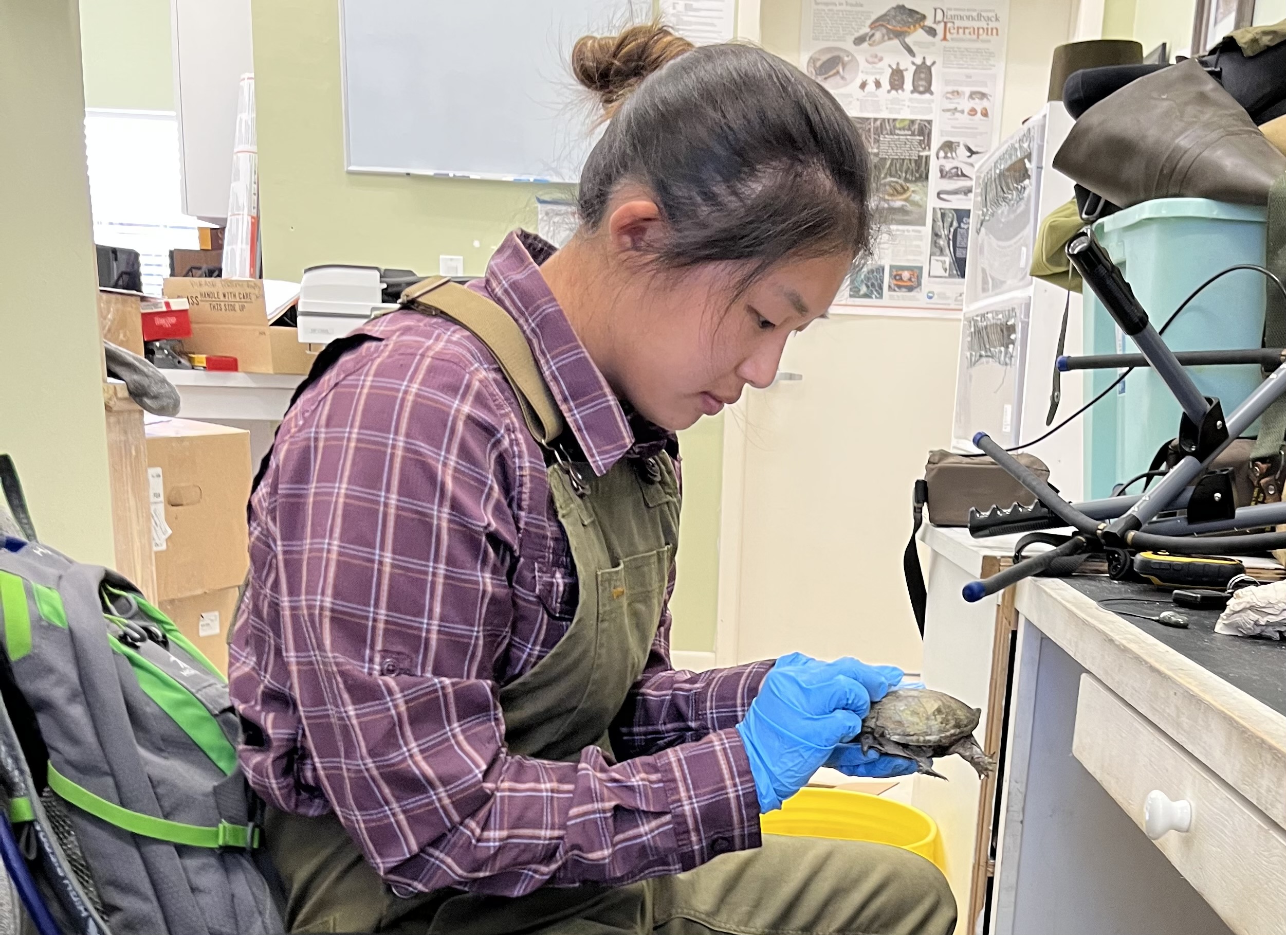 uzmoh0w8iyblxrjzchhm