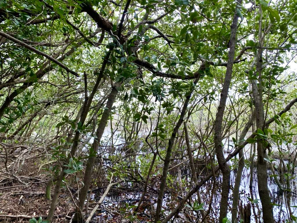 v2goznz2mrw8ekhvnedp