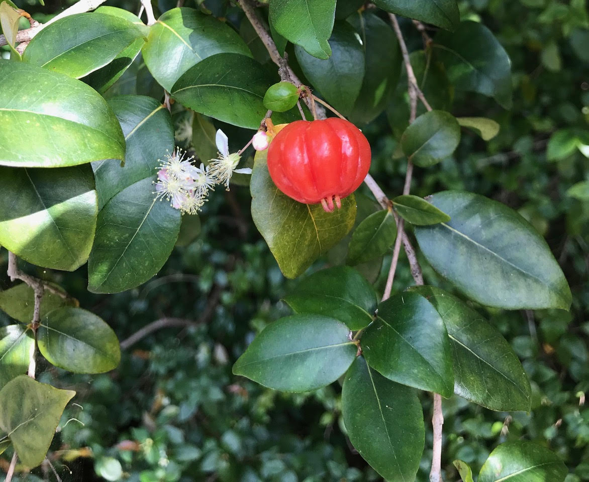 veuut0jujiw7slqqlxwn