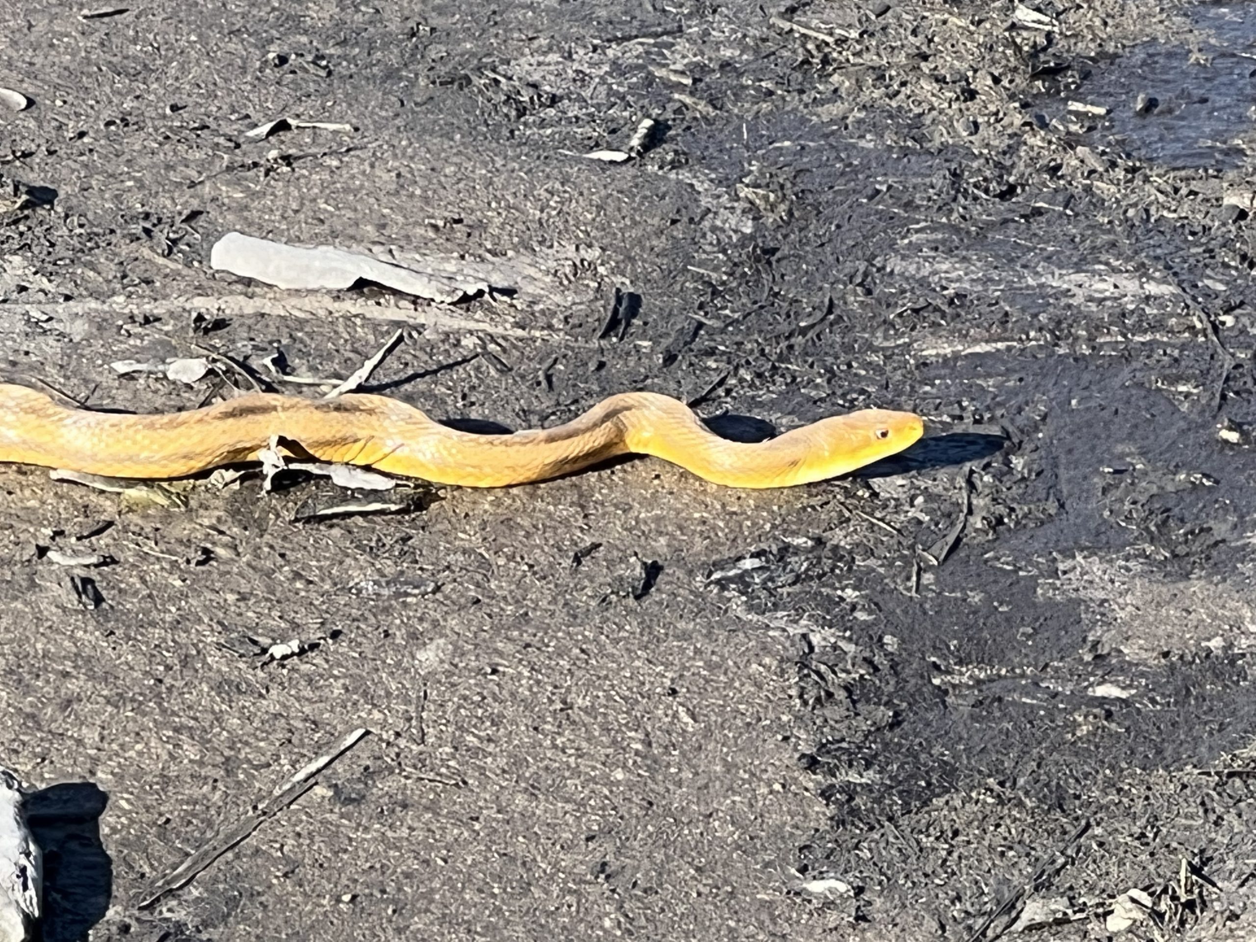 vjirksuqw210zvclmcus