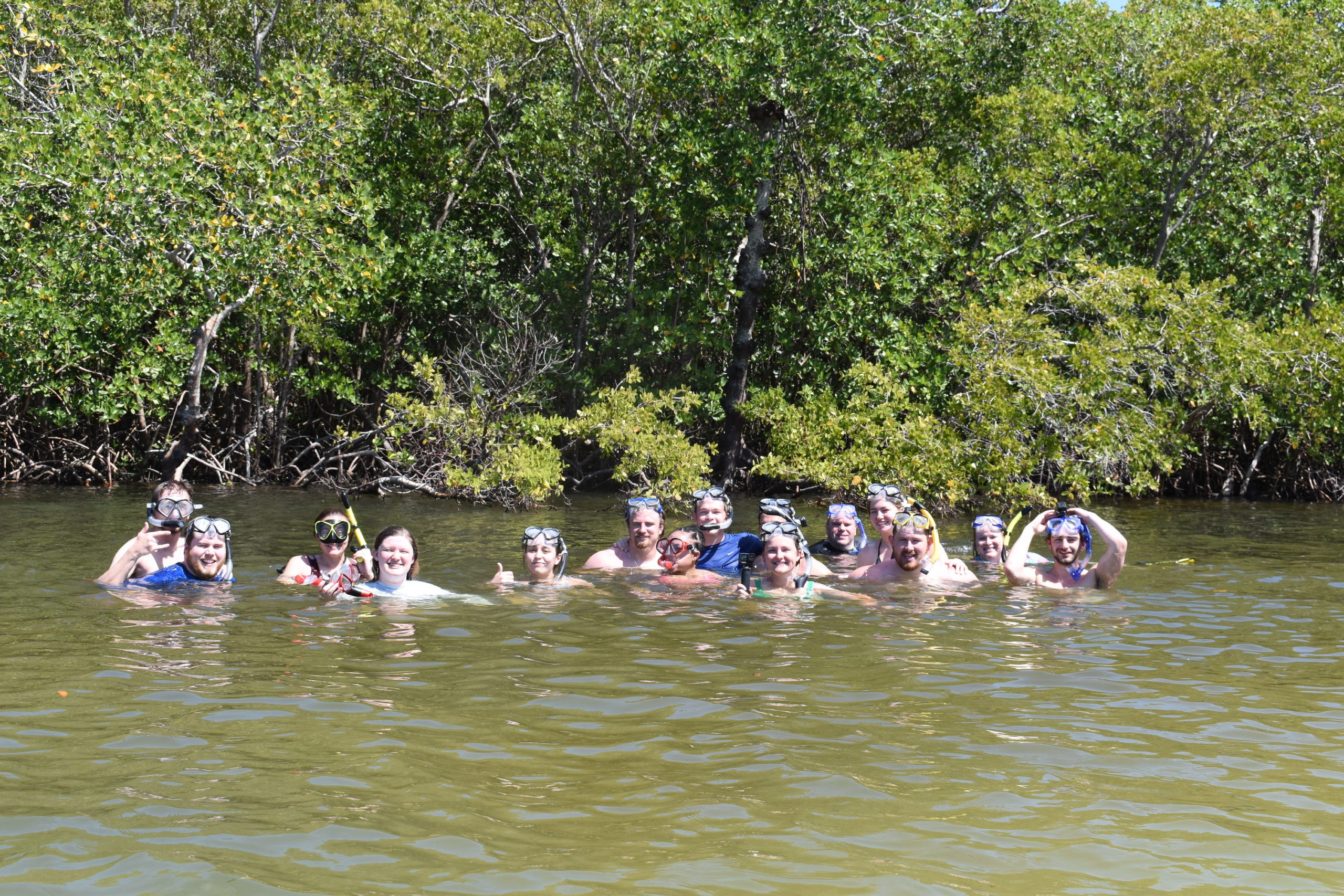 vwd6mmw0ma7tyy8dddgr