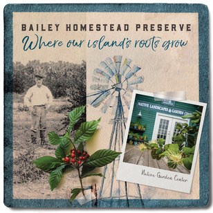 vwntj7vhsbijpe7amaat