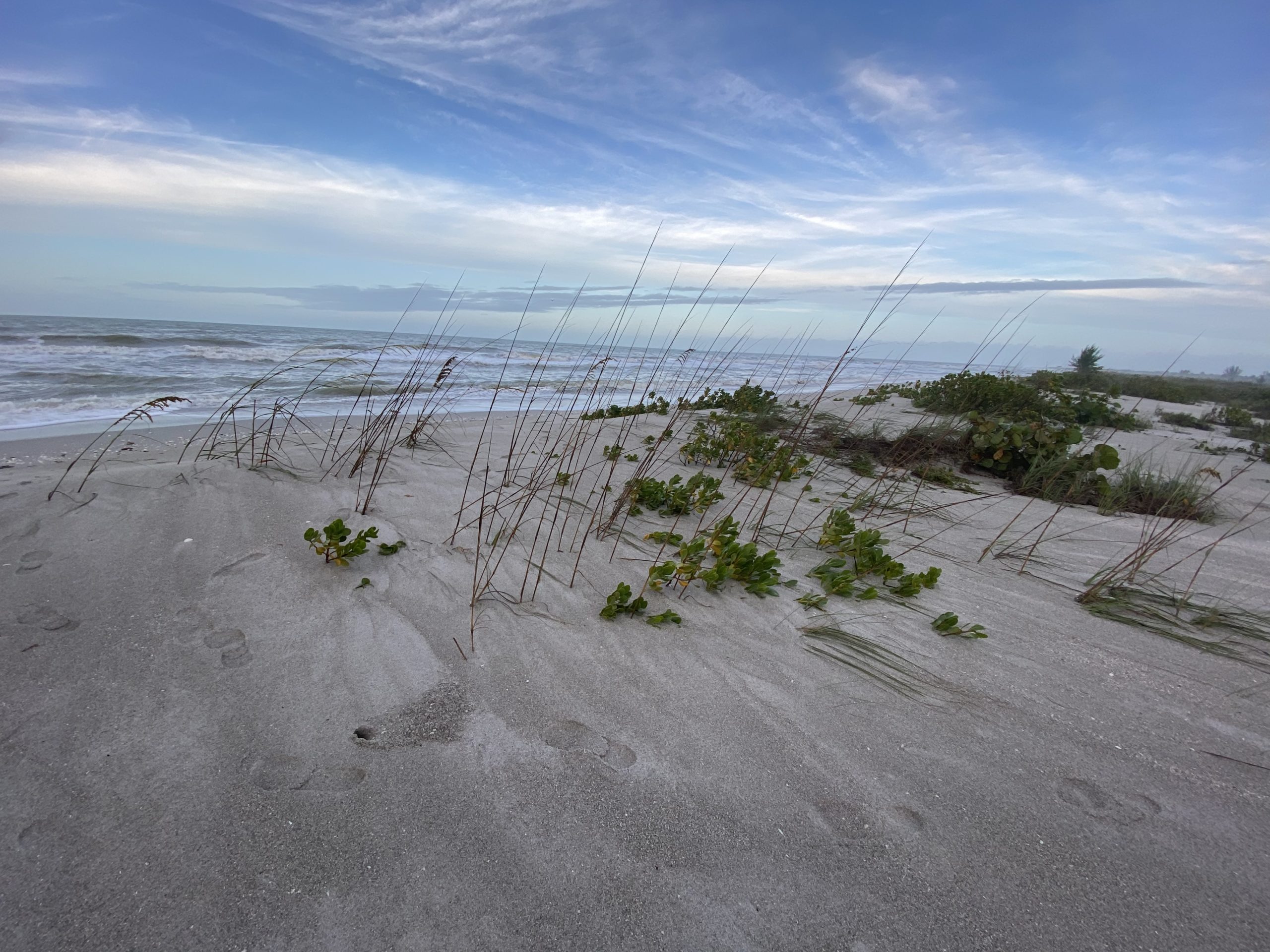 vyajgpxiwgdn5b8kliuk