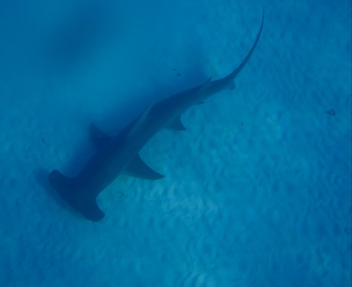 w03jepfhryev9rtbrjmr