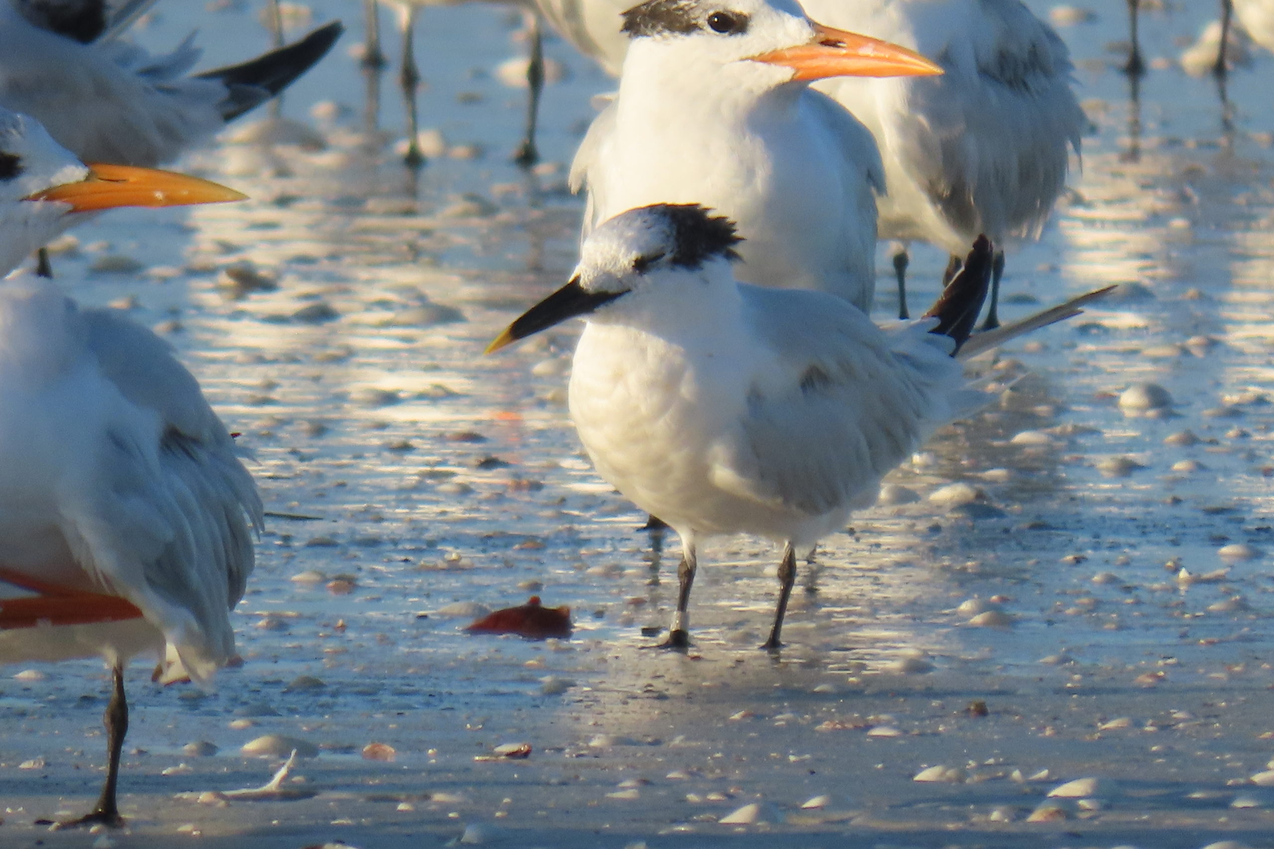 wb0f7g4dcxzzqelzuwsc