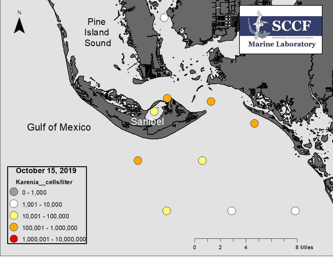 wnkcymcwfnvynwpe6wko