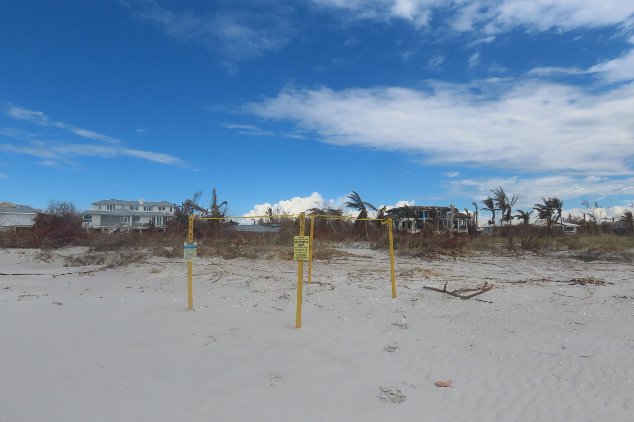 wojnwlfbxhyauxbnisfy