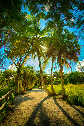 wrvvl8b72ty7hirk35z2