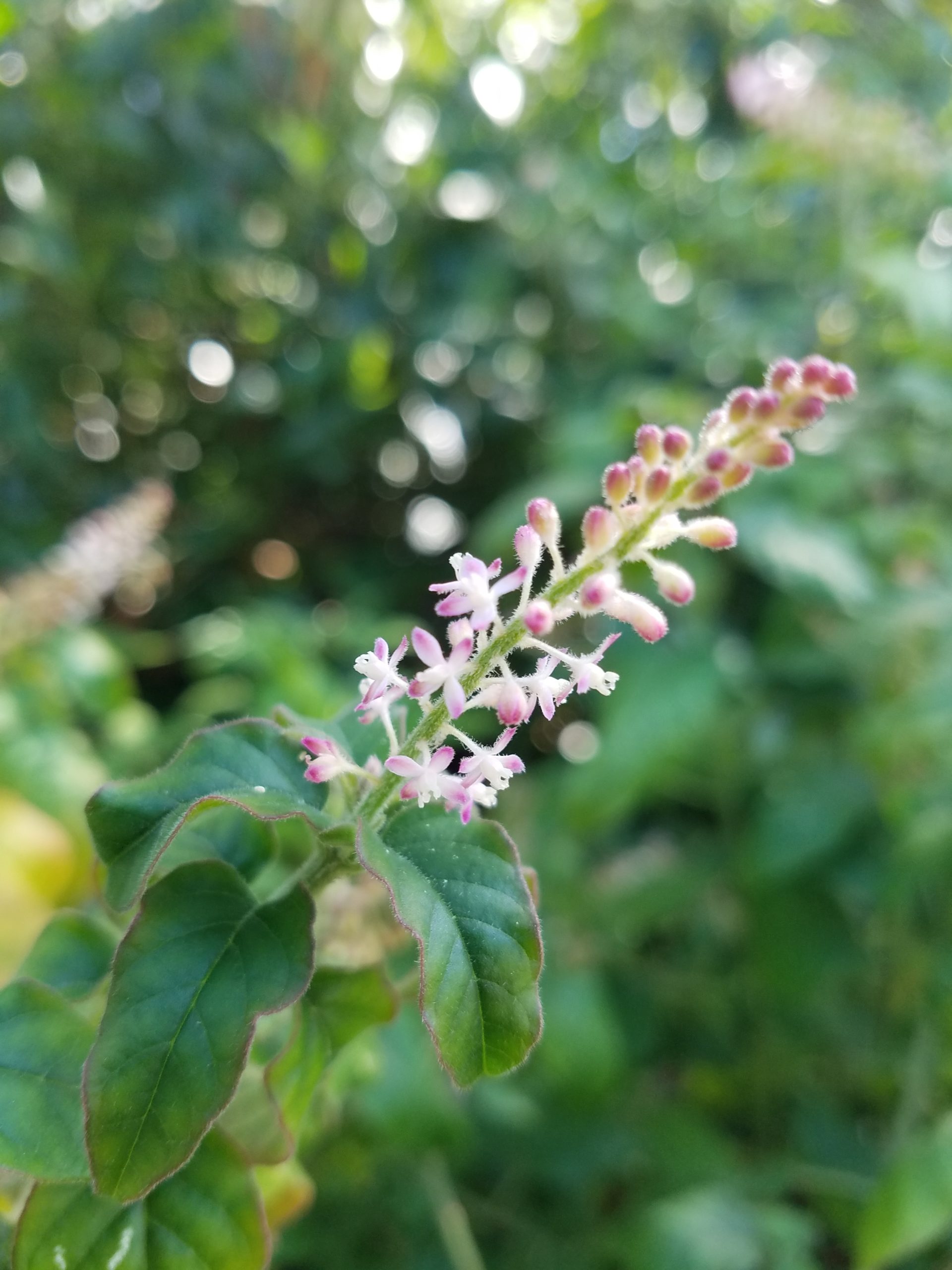 xbmdxlstidrhqyyuwzok