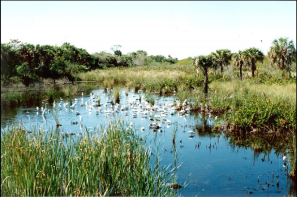 xvktgaobgrksdwzebybx