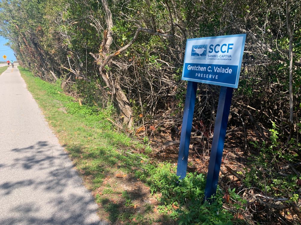 xzs8bjyswwmcyzaj5vkq