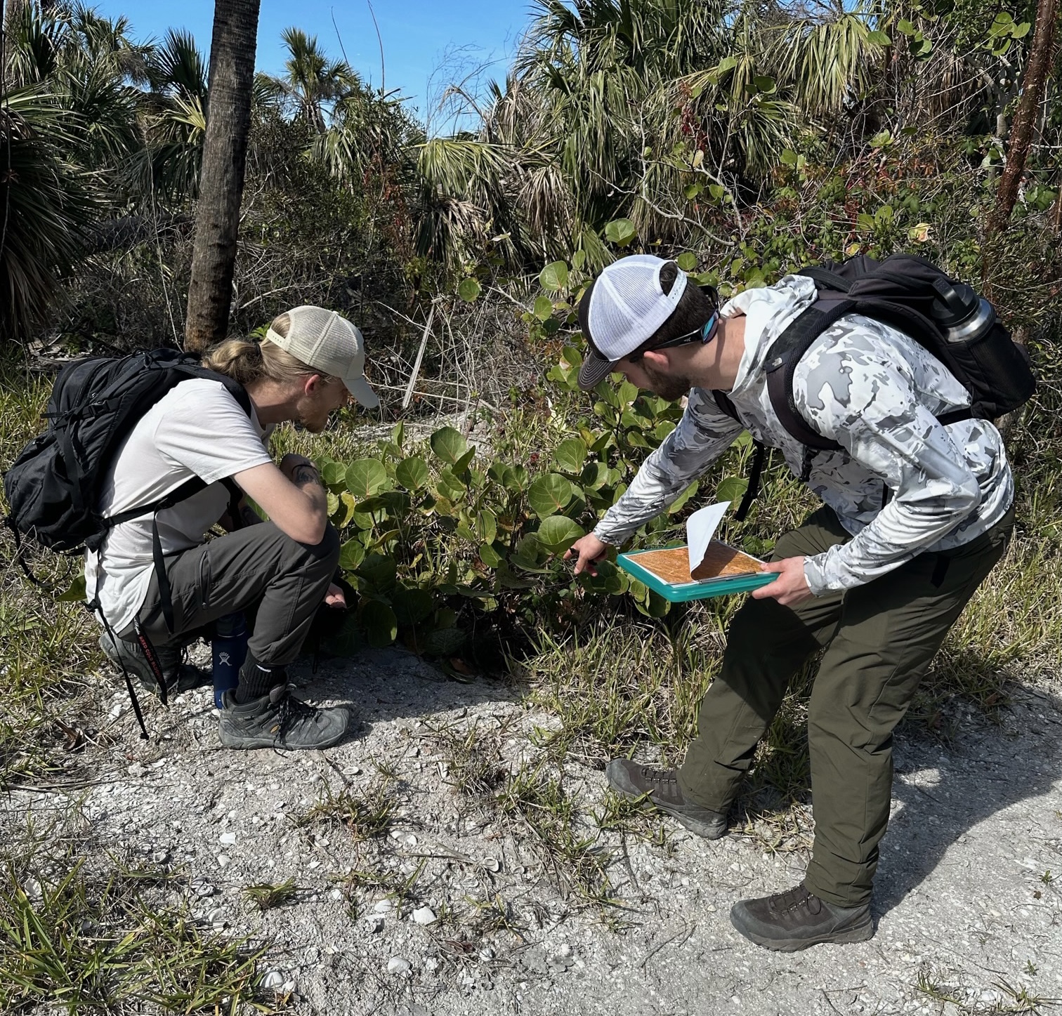 y5sxaxnf8k1erzwonrtv