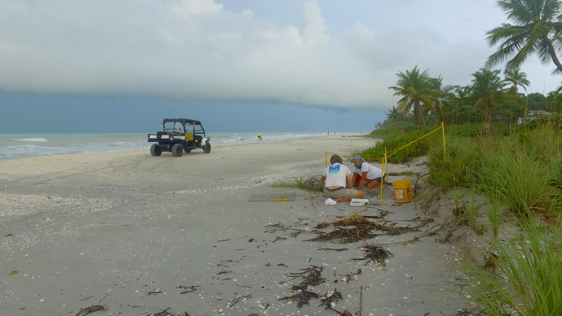 yi4n7muduo3xffykmpux