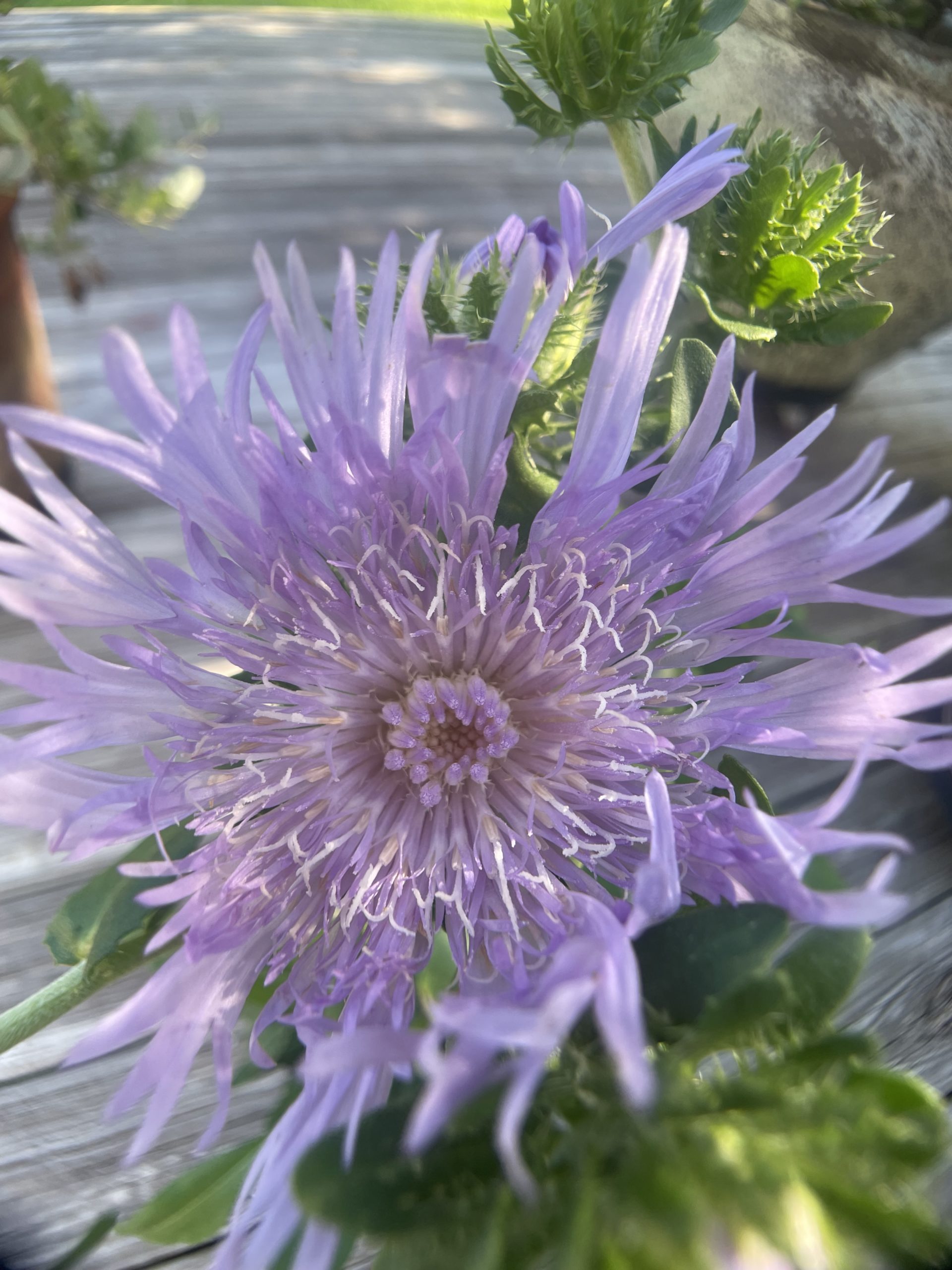 yjoi13erwzw9bwdps6x6