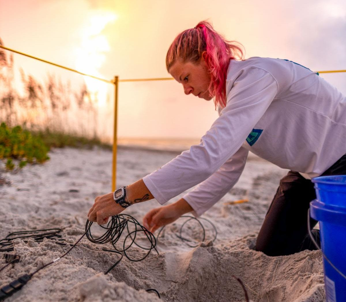 yqhpmm20btdlmr9zu9e5