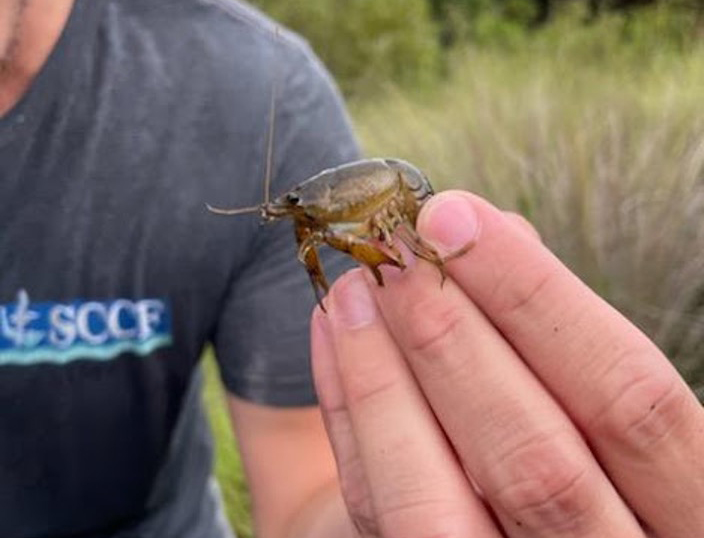 ysx9vesnginyietujty8