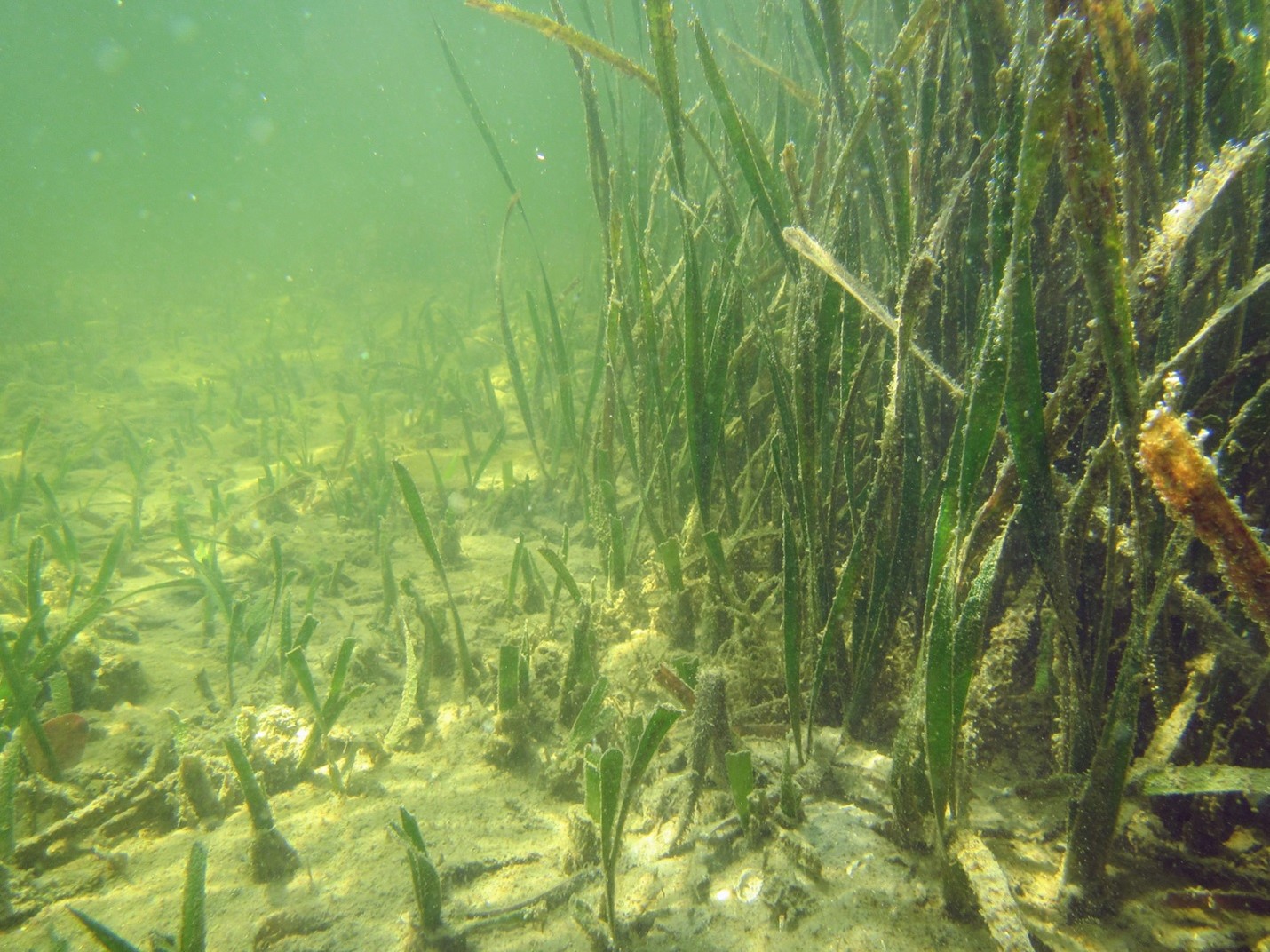 ysxqhd24wq3to7mxlnce