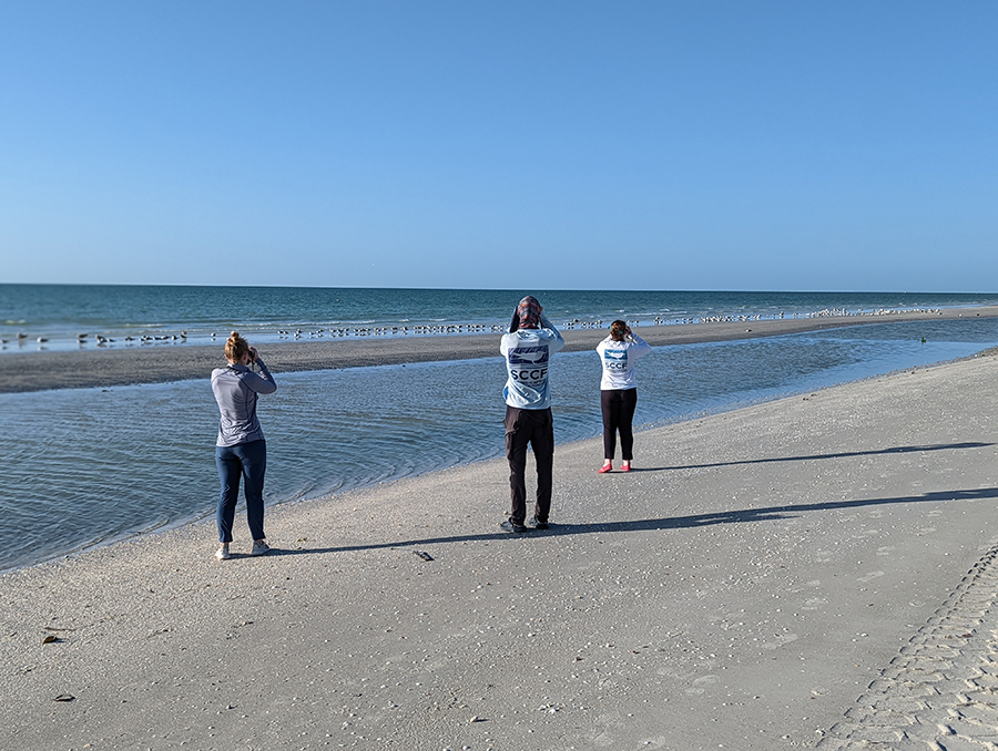 ytuhqbikffczcpo491kh