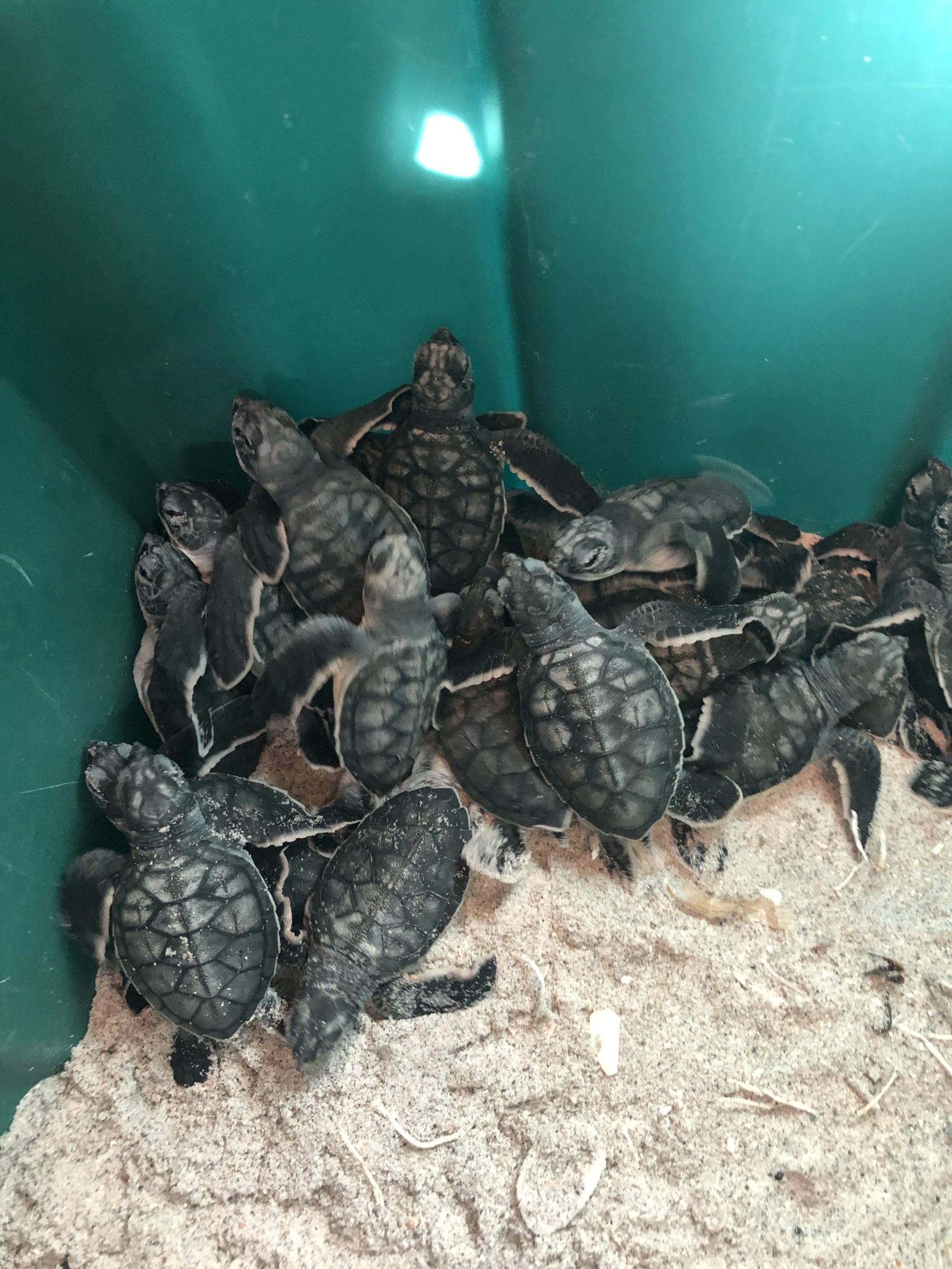 ywbaxs5gxe88kfp8gqbc