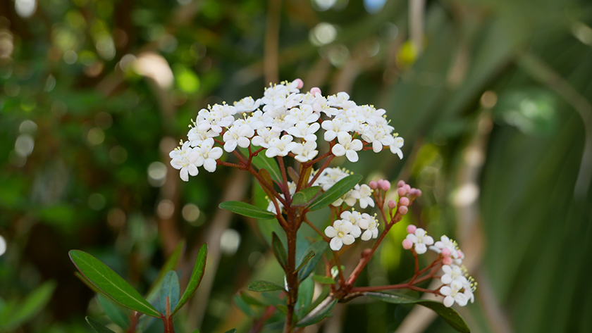 z2wa7fhwb3tatdj2pksb