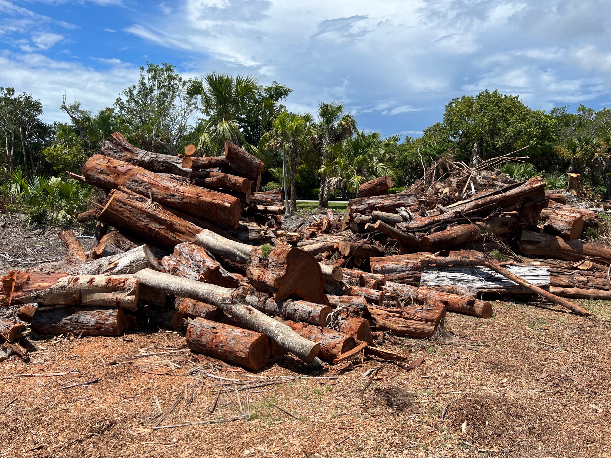 zc85zmq3s02vmksrxg0m