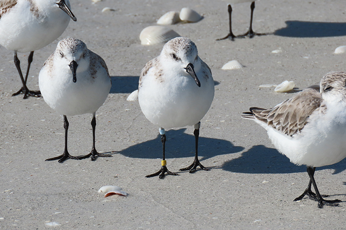 zgjto0nb48ztz6jole4s