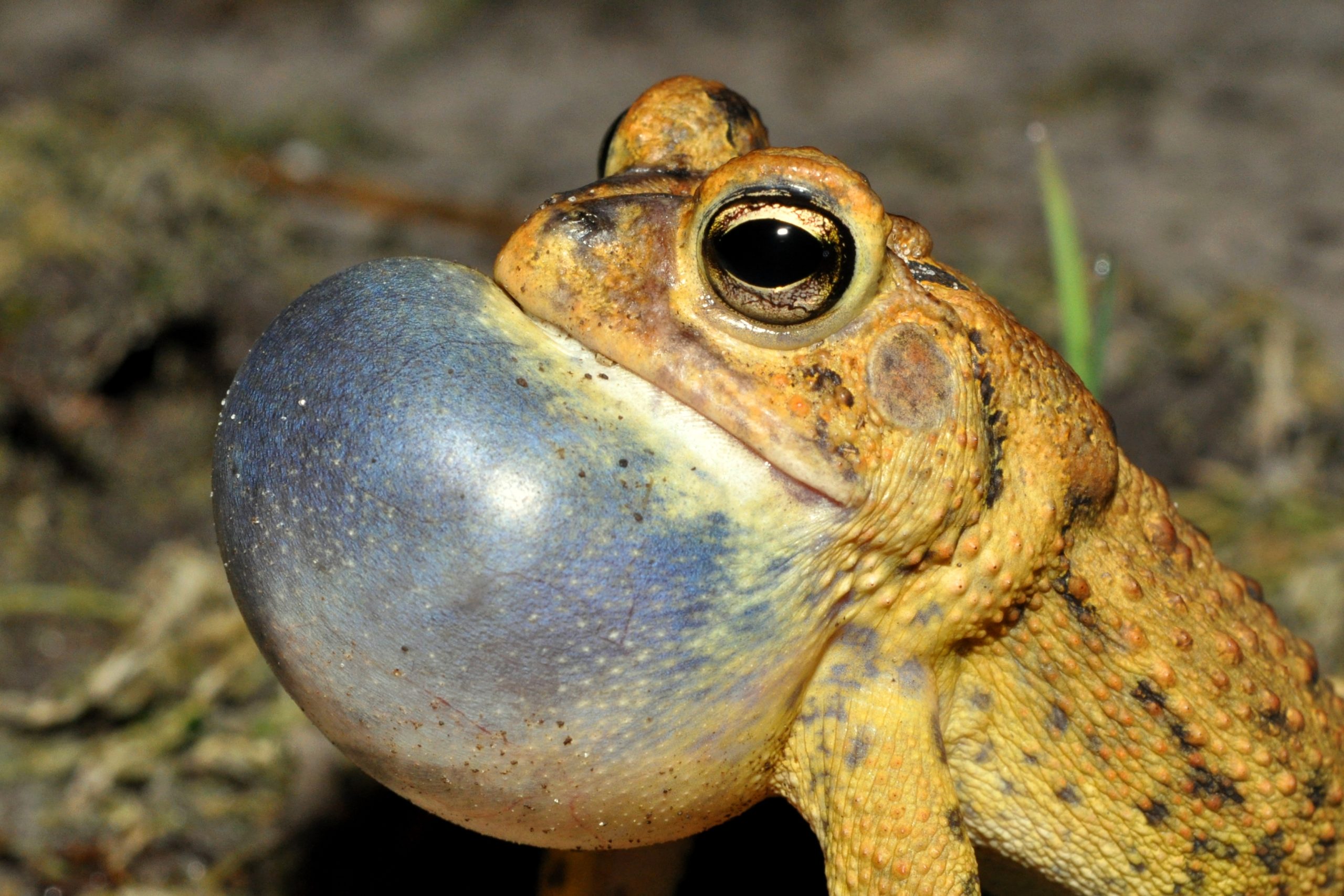 ????????????????????????????????????