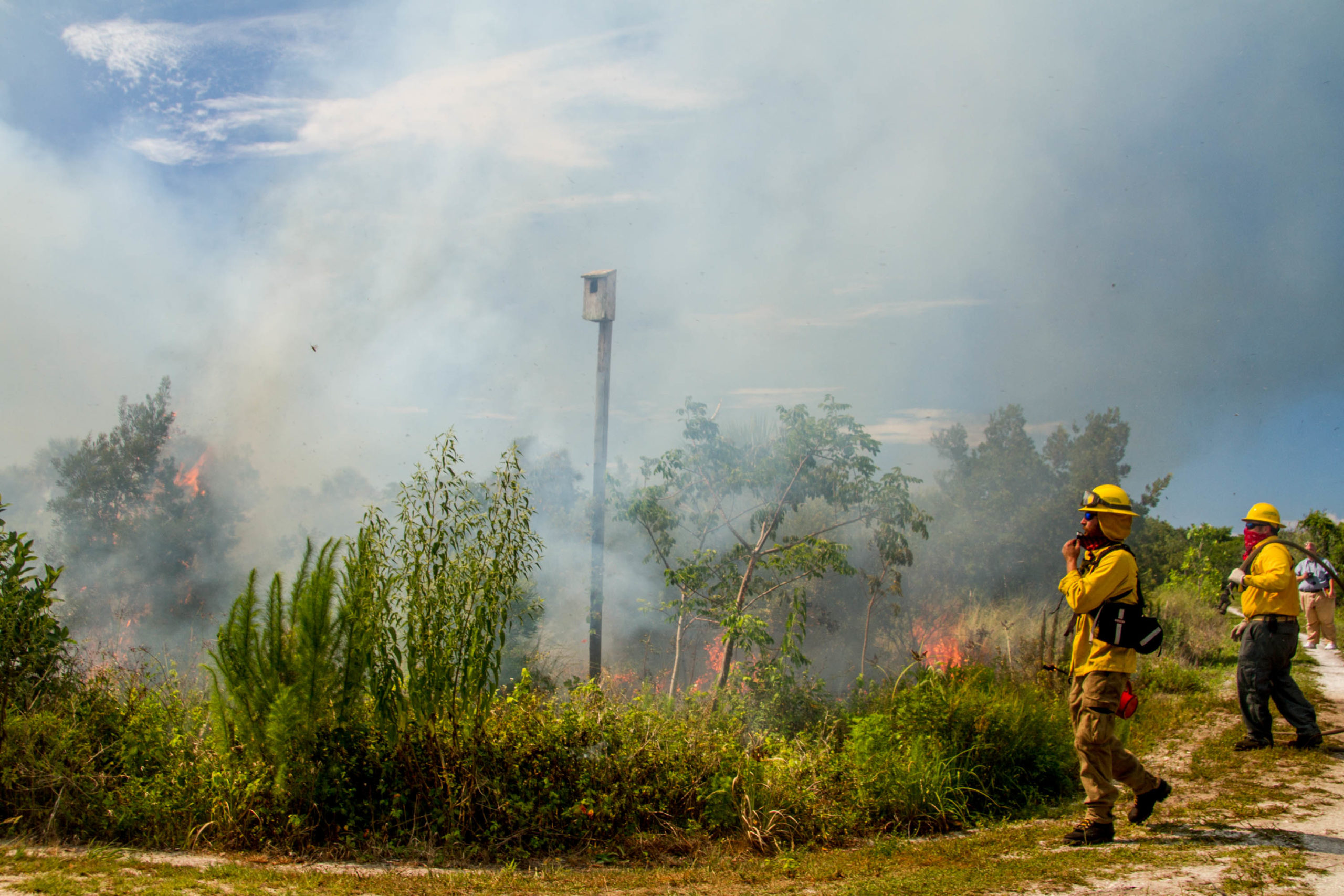 zigjat95wlf1xmy04k2a