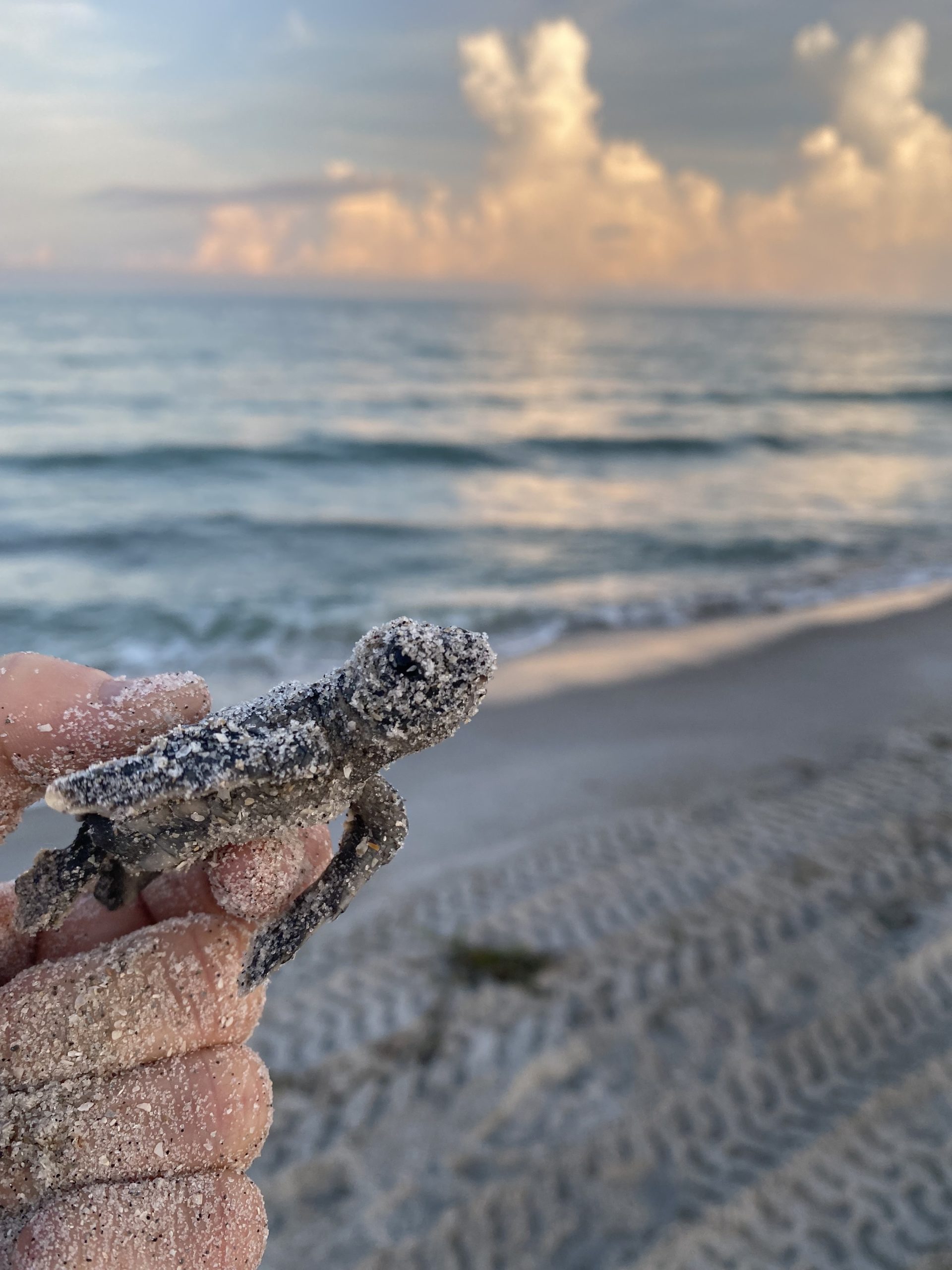 zmzaimkfe9rj7d7fctma