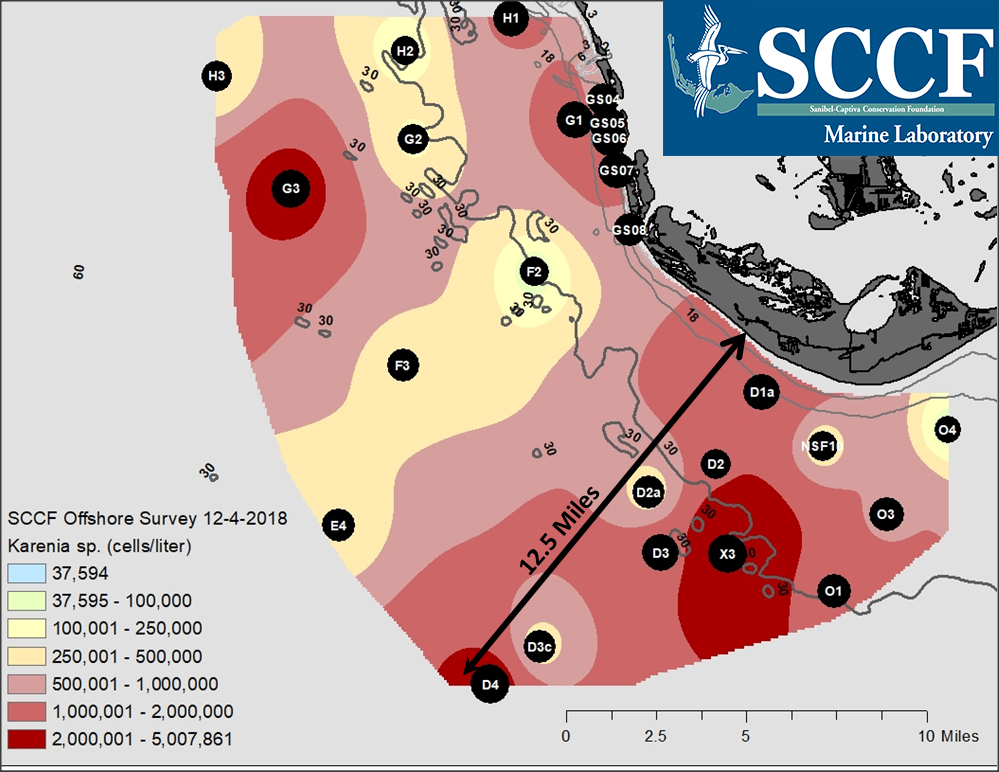 znh61ppjq3jwwvll4uhd