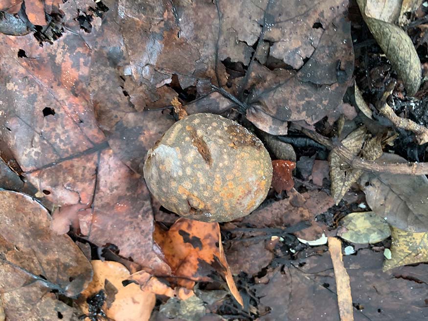 ztskh7mlktks1jfzvlkf