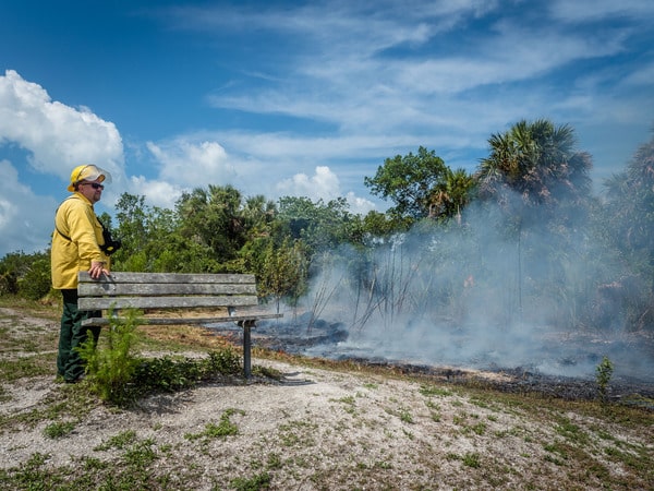 prescribed fire