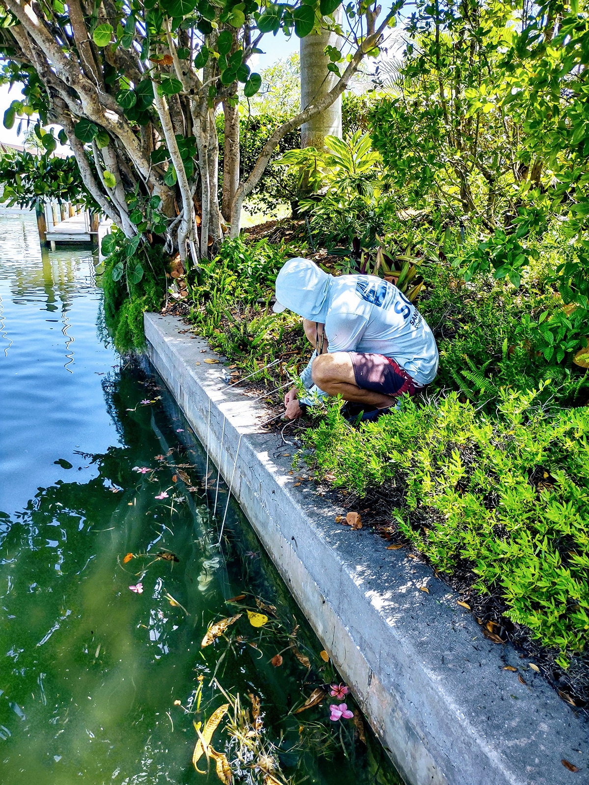 Oyster Garden