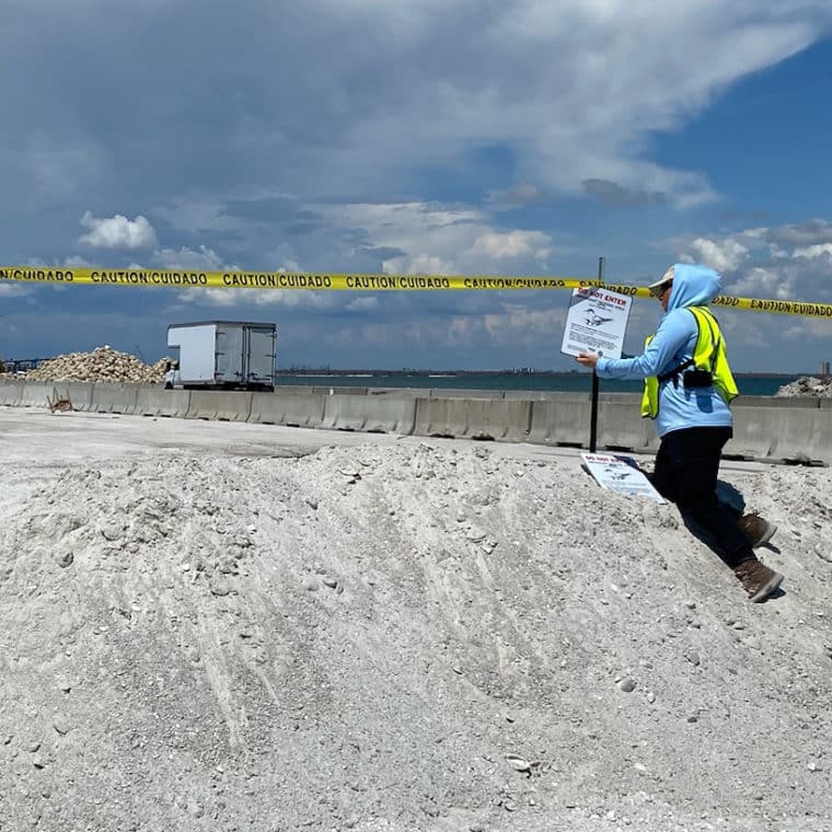 protecting least tern nesting area on causeway