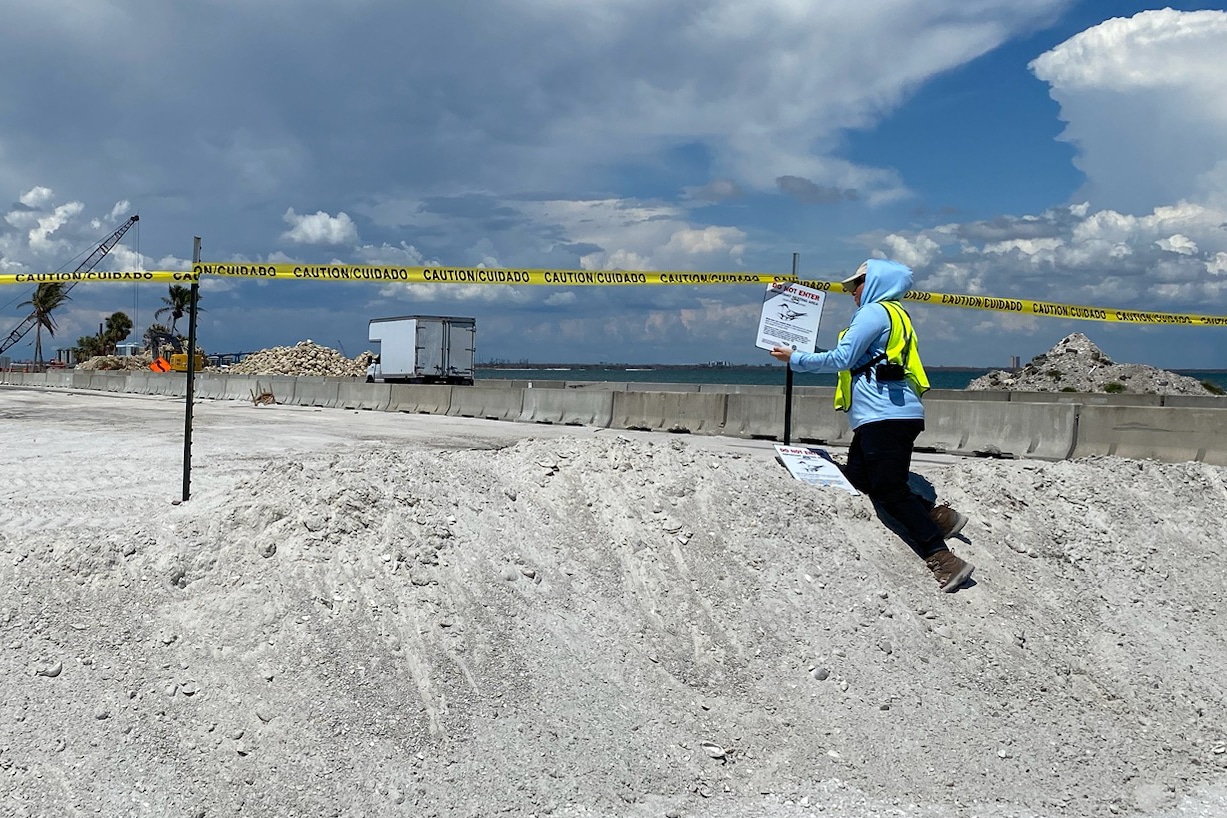 protecting least tern nesting area on causeway
