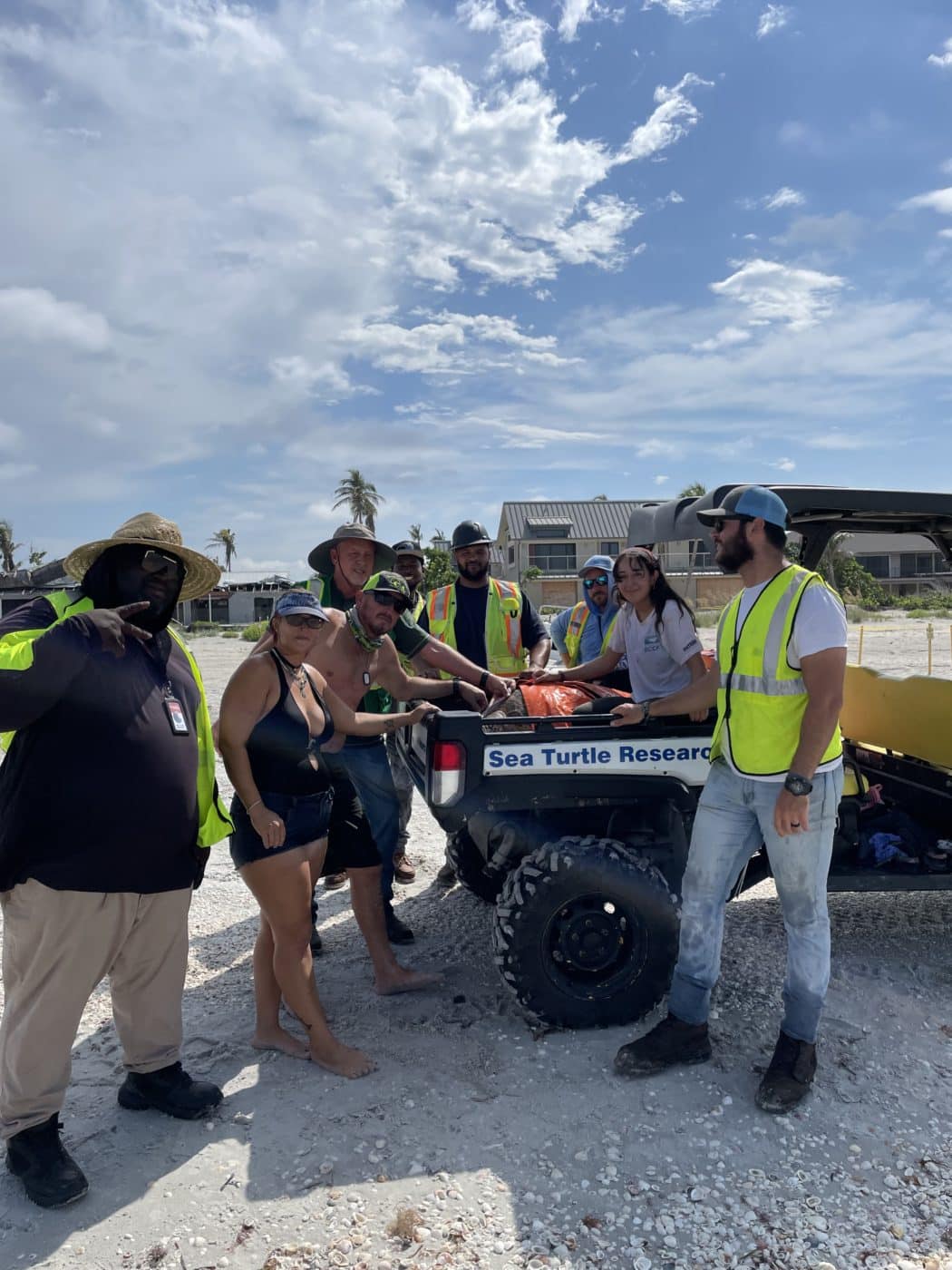 team rescuing sea turtle