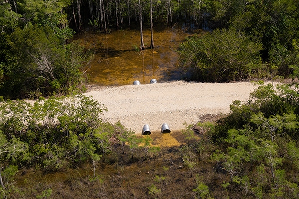 taylor slough improvement project