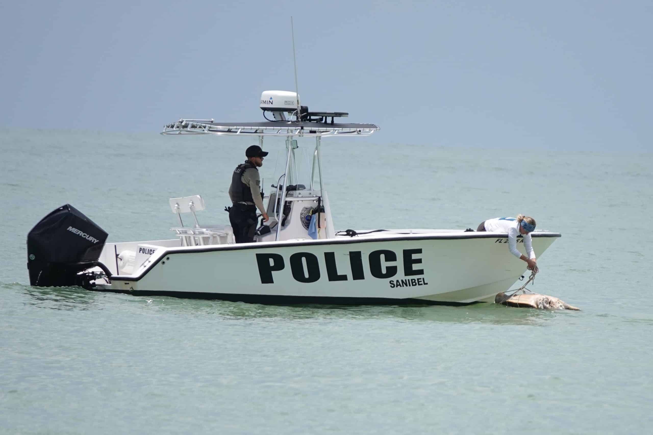 sea turtle stranding response with police boat